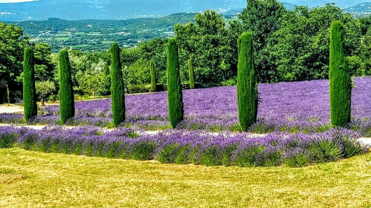 La Perle De Gordes Apartment Bagian luar foto